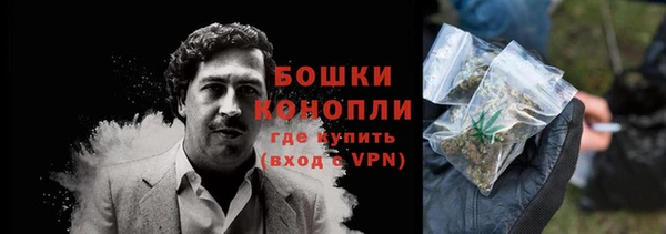 гидра Кодинск