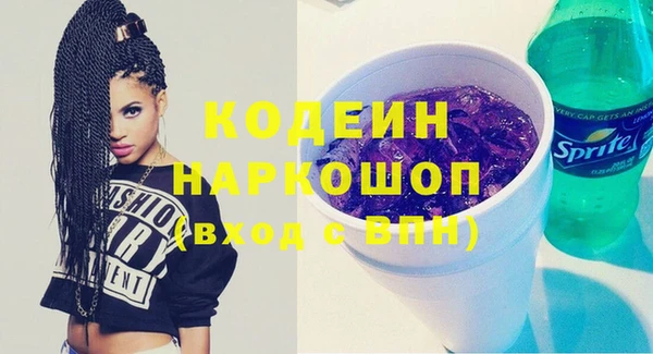 гидра Кодинск