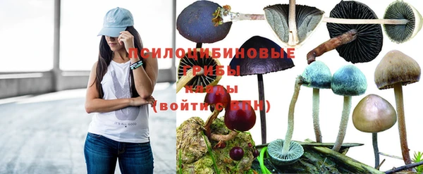 дурь Кинешма