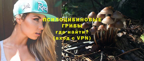 гидра Кодинск