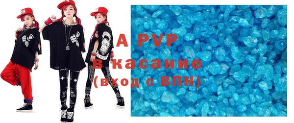 гидра Кодинск