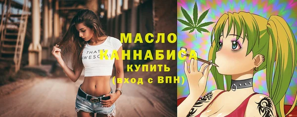 гидра Кодинск