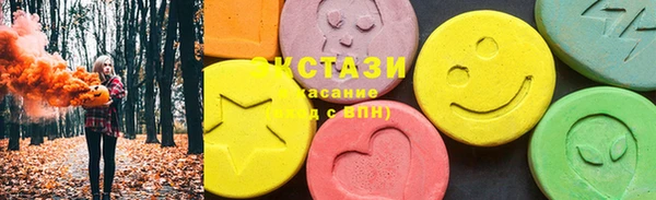гидра Кодинск