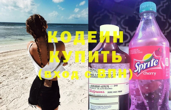 гидра Кодинск