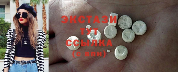 гидра Кодинск