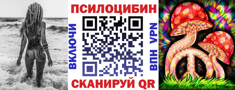 как найти   Южно-Сахалинск  Галлюциногенные грибы Psilocybe 